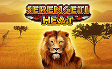 La slot machine Serengeti Heat